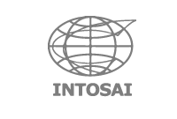 INTOSAI